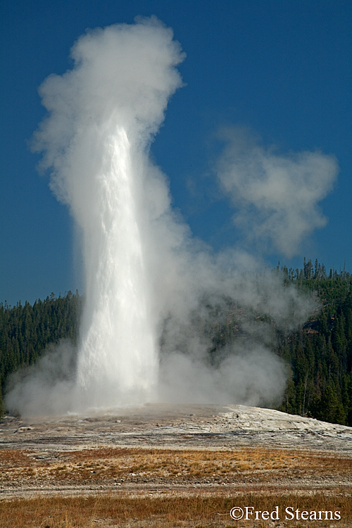 Yellowstone NP Upper Geyser Basin